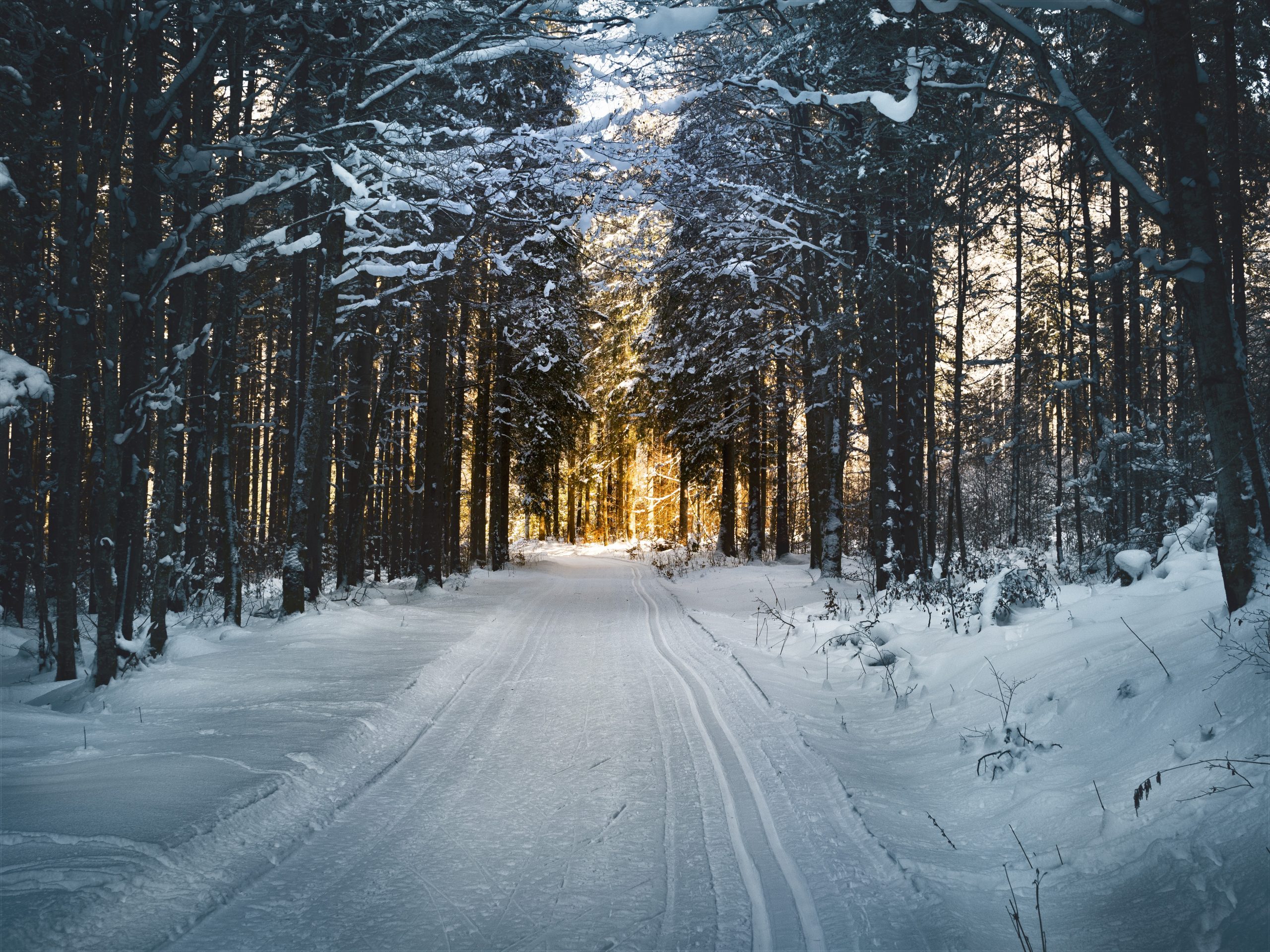 Sorties hivernales à petits prix